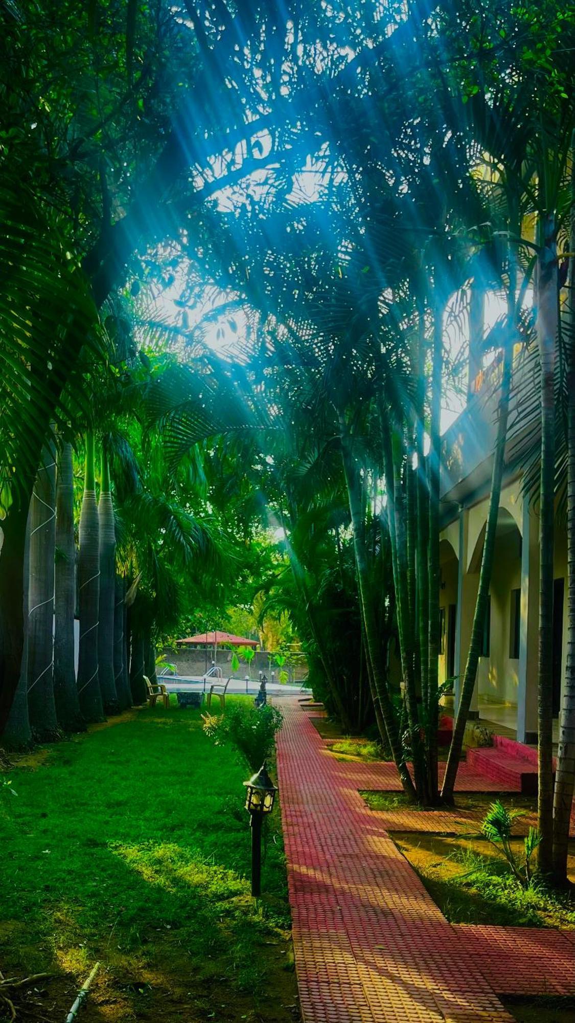 Hotel Jungle Palace Resort Umariā Exteriör bild